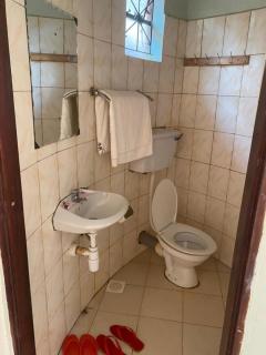 Nilonian Holiday Villa Guest House - Jinja - 5