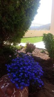 Gabi's Apartment - Porto Rafti - 9