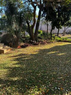 Cozy Garden Studio in Waterkloof Ridge - Pretoria - 1