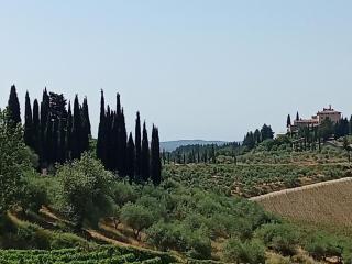 La Casa di San Donato in Perano - Gaiole in Chianti - 7
