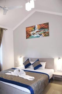 The golden leaf home stay - Calangute - 8