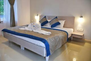 The golden leaf home stay - Calangute - 1