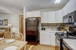 Park Meadows 1D by Ski Country Resorts - 1
