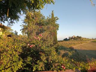 La Casa di San Donato in Perano - Gaiole in Chianti - 1
