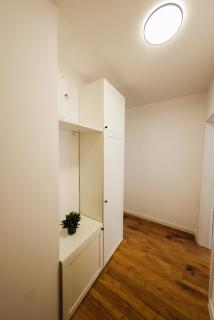 Wierzbno Apartment - 1