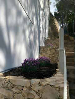 T5 · Cozy Retreat 50m to Beach Garden Escape - Tamariu - 8