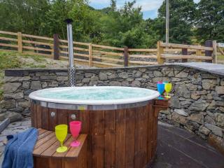 3 bed in Corwen 86266 - Corwen - 9