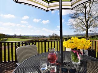 1 Bed in Lyme Regis WHOUS - Axminster - 9