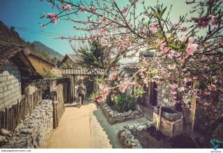 Homestay Ha Giang Private Tour - Làng Lap - 2