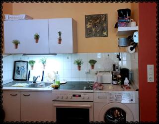 Ferienwohnung Bad Harzburg - Bad Harzburg - 9