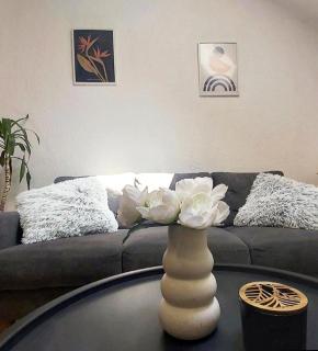 ZARA apartment with terrace near Old Town - Mostar - 7