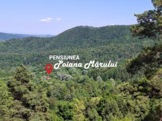 Pensiunea Poiana Marului - Bisoca - Bisoca - 9