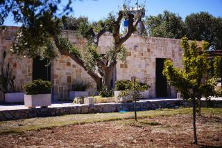 Lamia Danieli an oasis of authentic Apulian peac - 7