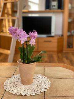 Ferienappartements-ferienwohnung - Schramberg - 4