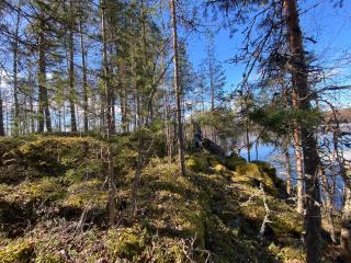 Lammassaari - Savonlinna - 9
