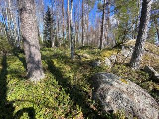 Lammassaari - Savonlinna - 8