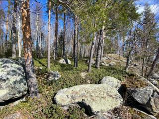 Lammassaari - Savonlinna - 4