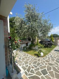 Violeta Apartments - Limenas - 3
