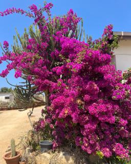 B&B Piandelidei - Sassari - 8