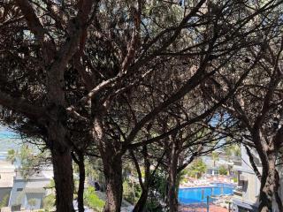 Sea View Studio Apartment, Golem, Mali i Robit - Golem - 1