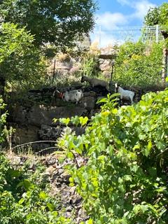 Gîtes de coussane - 7