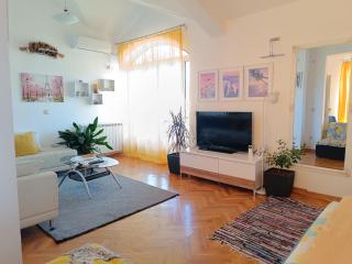 Vila Sentić - Vranje - 7