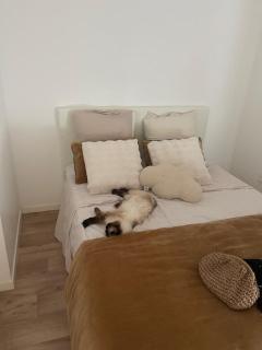 Appart louise - Nantes - 1
