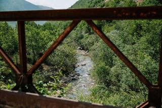 Forest Dream - Šavnik - 4