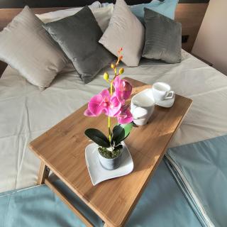 Slavi studios Aparthotel Exselsior, Sunny beach - 3