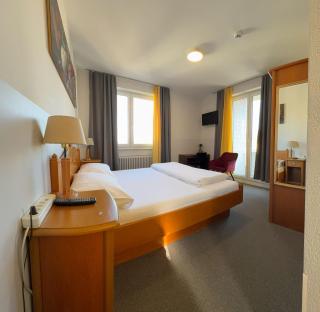 Hotel Rheinfall - Neuhausen am Rheinfall - 9
