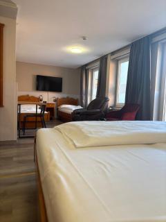 Hotel Rheinfall - Neuhausen am Rheinfall - 6