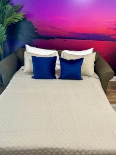 Miami Vice - 1BR-NRG-Medical Center-Galleria - 2