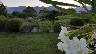 Villa "Sogno" Porto-Vecchio résidence riviera avec Piscine - 3