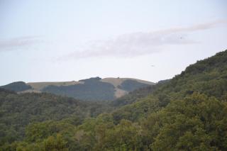 Un passo dalla vetta - Monte Flavio - 8