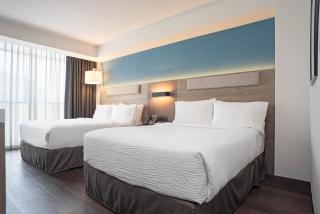 Holiday Inn Express Guadalajara Expo by IHG - 4