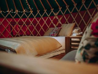 Moss Yurt - Uk47888 - Keilour - 4