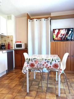 Studio en rez de jardin , vue montagne - Saint-Bonnet-en-Champsaur - 9