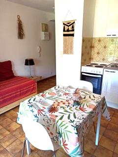 Studio en rez de jardin , vue montagne - Saint-Bonnet-en-Champsaur - 5