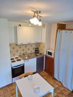 Studio en rez de jardin , vue montagne - Saint-Bonnet-en-Champsaur - 3