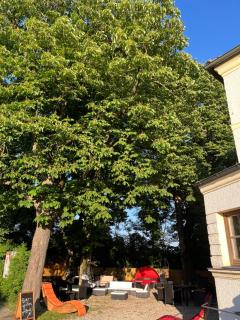 Nostress77 - Garching an der Alz - 4