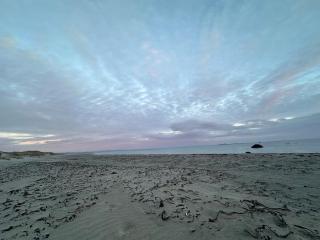 North Sea Guesthouse - - 8