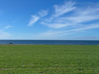 North Sea Guesthouse - - 3