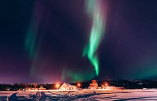Forest Suites by Holmen Husky - 7
