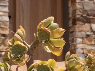 Villa Dilion - Luxury Villa in Antiparos - Agios Georgios - 6
