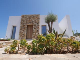 Villa Dilion - Luxury Villa in Antiparos - Agios Georgios - 1