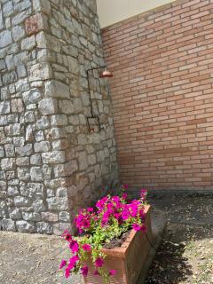 Villa Capinera, intera casa con parco privato - 4