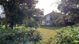 Villa Capinera, entire house with private park - Punta Ala - 8