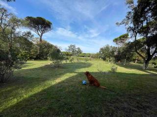 Villa Capinera, entire house with private park - Punta Ala - 4