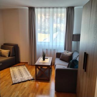 Apartman Iva Brzeće-Kopaonik - Brzeće - 6