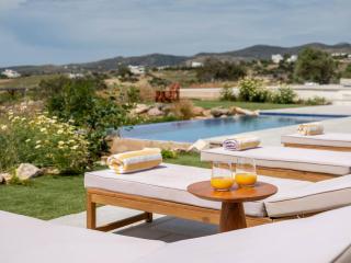 Yalazios House 1 - Shared pool - Drios - 0